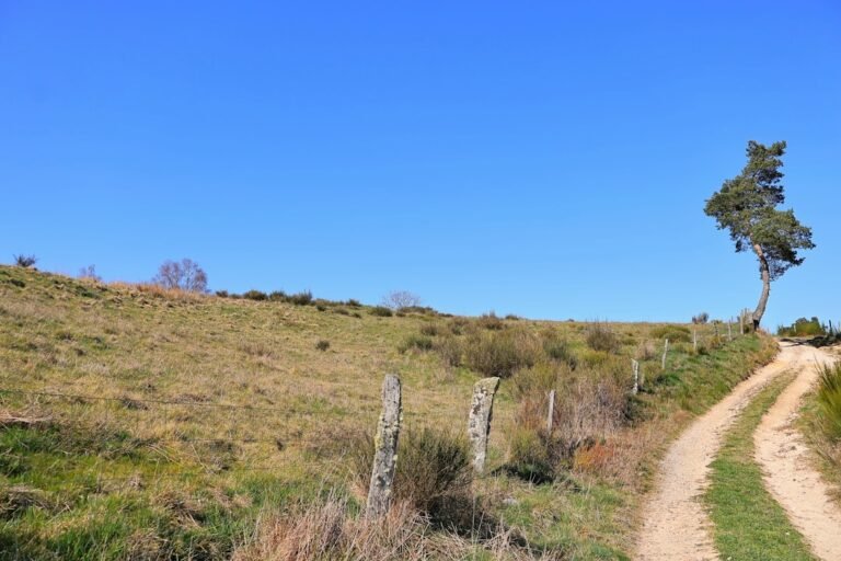 Best Hiking Boots Wide Feet