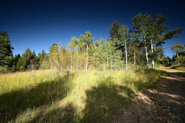 Best Wide Hiking Boots