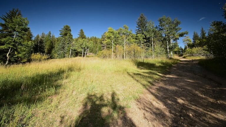 What Are the Best Boots for Wide Feet