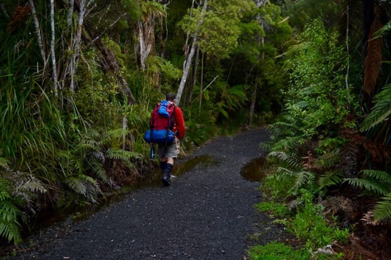 Beginner Hiking Boots for Women With Wide Feet