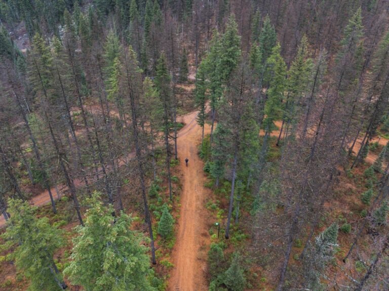 Best Hiking Boots for Women Wide Feet 2024