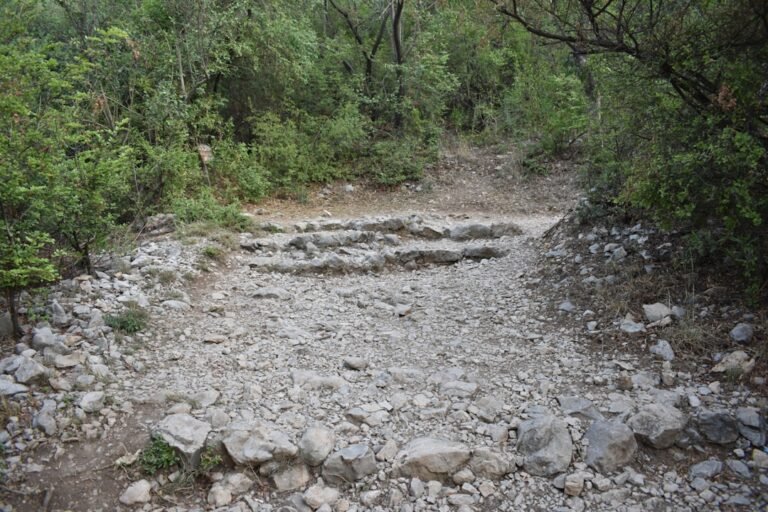 Best Hiking Boots for Women Wide Feet Under 50