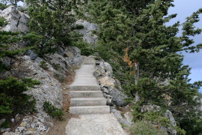 Hiking Boots for Women Wide Feet Beginner’s Guide