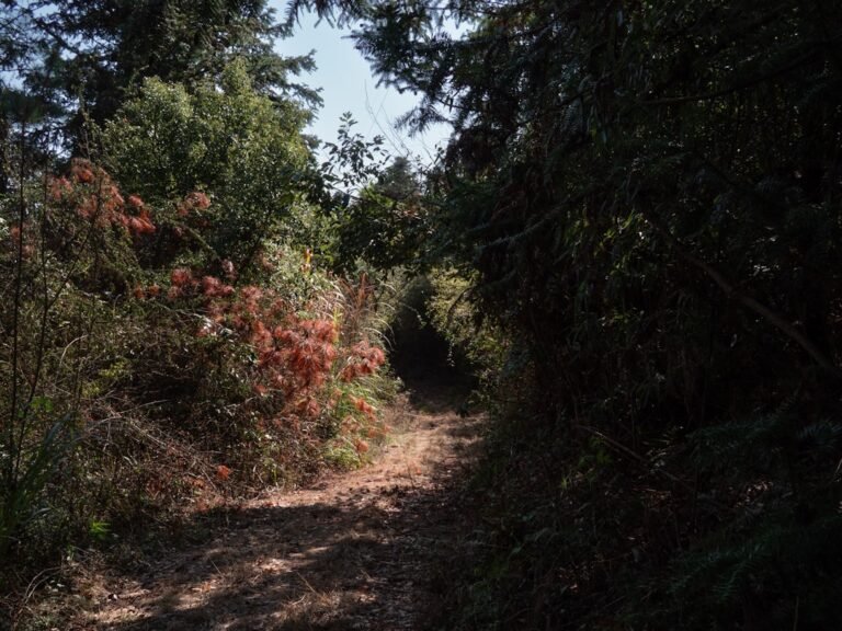 Hiking Boots for Women Wide Feet Plantarfasciitis