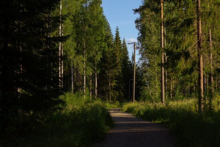 Hiking Boots Women Wide Feet Size 11 12