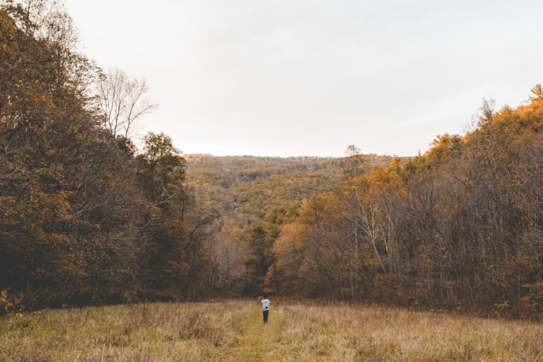 Hiking Boots Women Wide Feet With Good Reviews