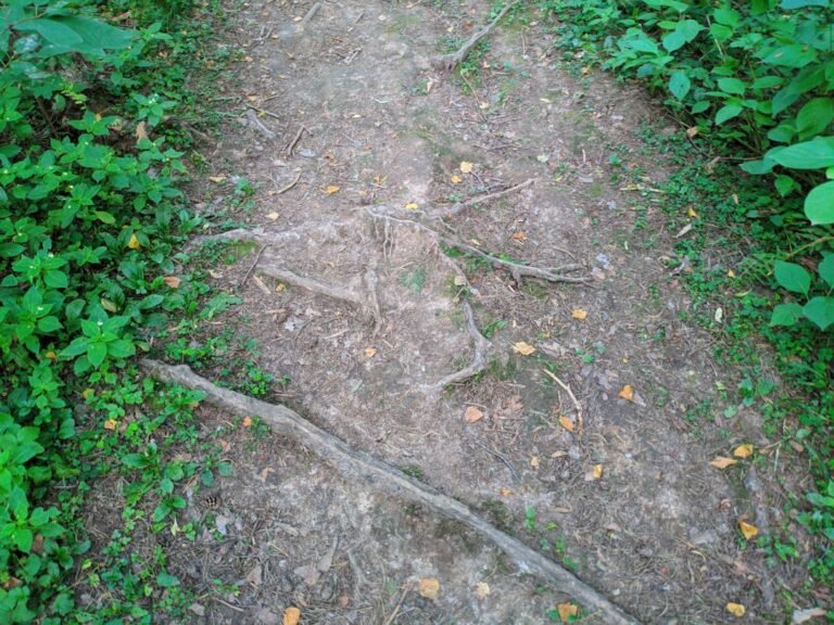 Hiking Boots Women Wide Feet With Good Traction