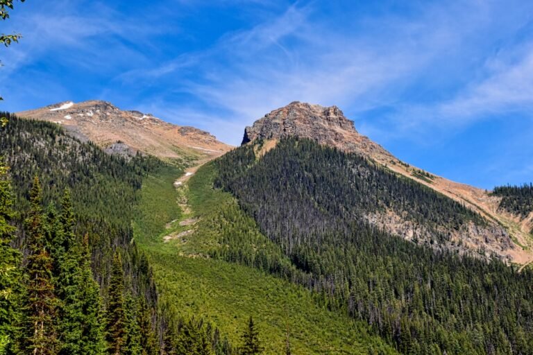 Lightweight Hiking Boots Women Wide Feet