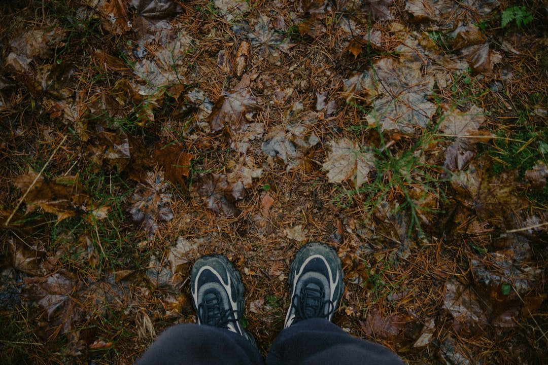 Feet wearing sneakers on a forest floor.