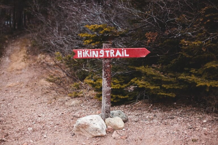 brown wooden signage near green trees during daytime