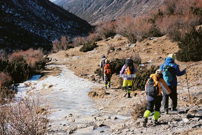 Hikers walk on a snowy mountain trail