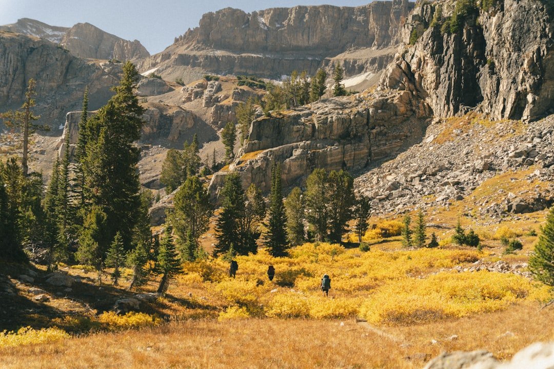 Hikers traverse a golden meadow in a rocky mountain landscape.