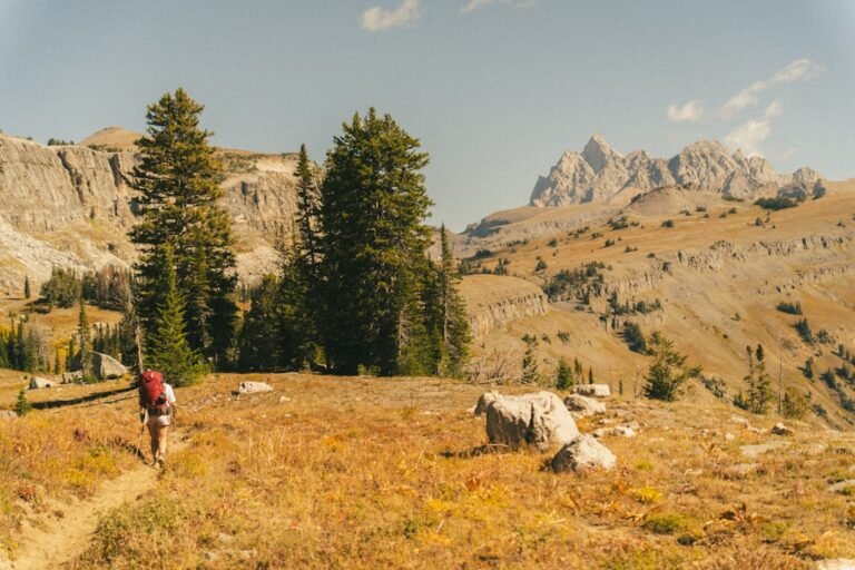 Hiker with backpack walks on a trail in the mountains.